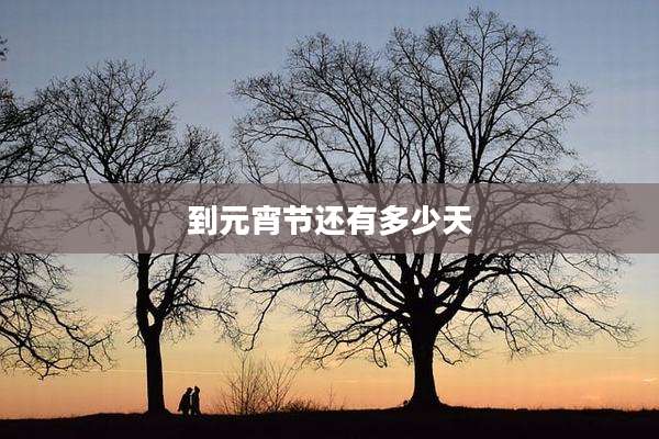 到元宵节还有多少天