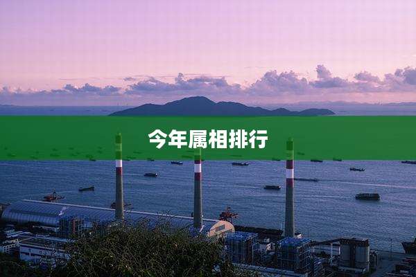 今年属相排行