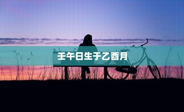 壬午日生于乙酉月
