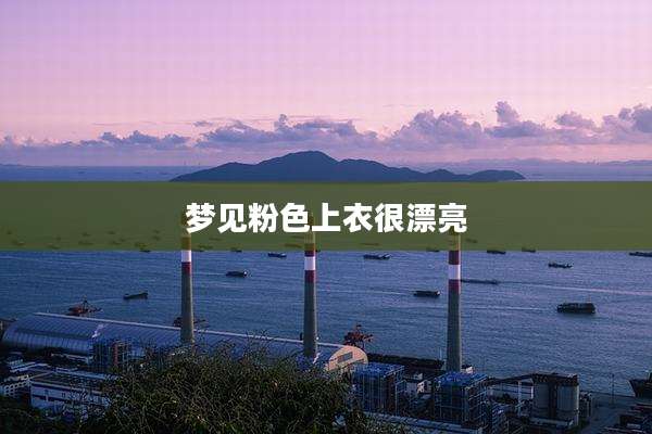 梦见粉色上衣很漂亮