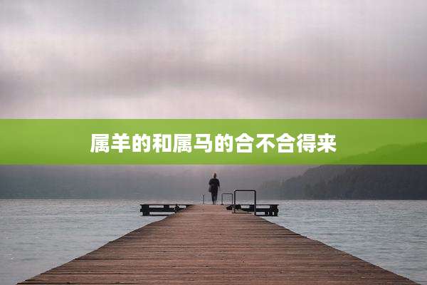属羊的和属马的合不合得来