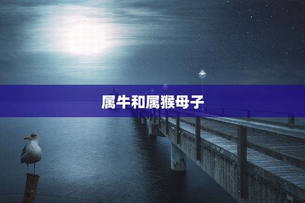 属牛和属猴母子