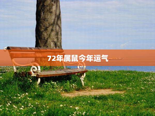 72年属鼠今年运气