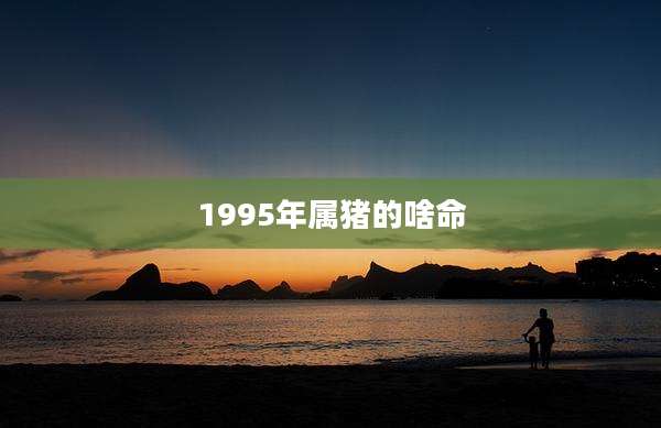 1995年属猪的啥命