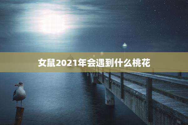 女鼠2021年会遇到什么桃花