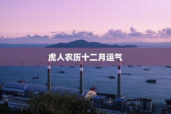 虎人农历十二月运气