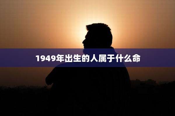 1949年出生的人属于什么命