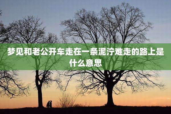 梦见和老公开车走在一条泥泞难走的路上是什么意思