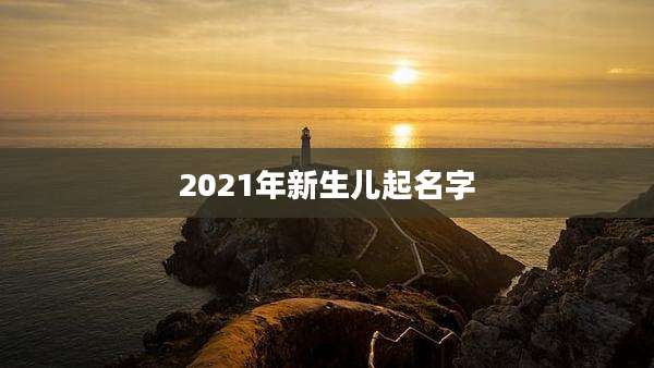 2021年新生儿起名字