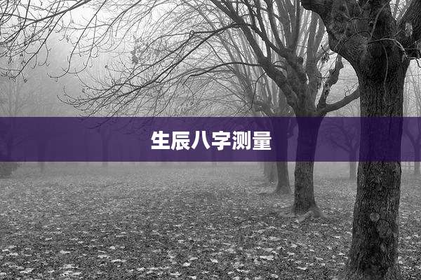 生辰八字测量