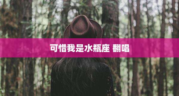 可惜我是水瓶座 翻唱
