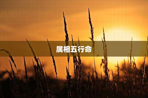 属相五行命