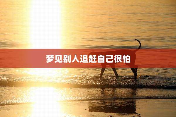 梦见别人追赶自己很怕