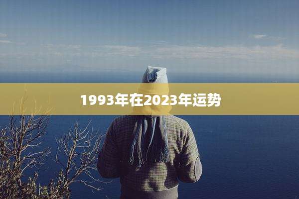 1993年在2023年运势