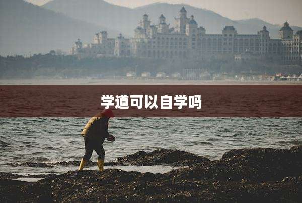 学道可以自学吗