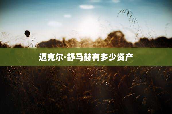 迈克尔·舒马赫有多少资产