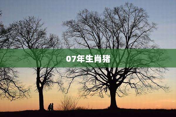 07年生肖猪