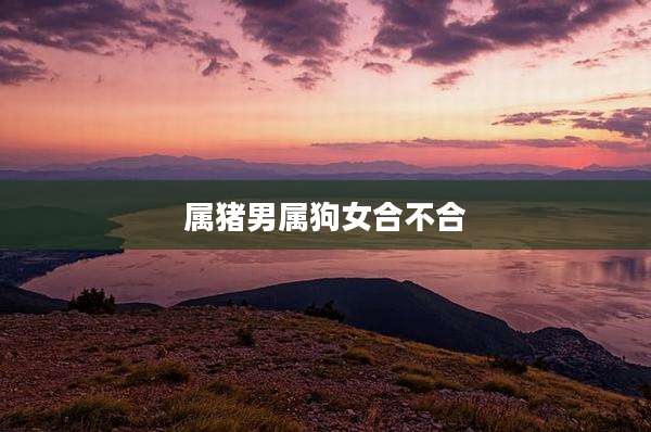 属猪男属狗女合不合