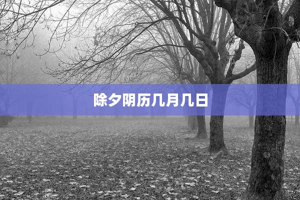 除夕阴历几月几日
