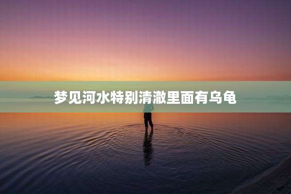 梦见河水特别清澈里面有乌龟