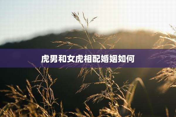 虎男和女虎相配婚姻如何