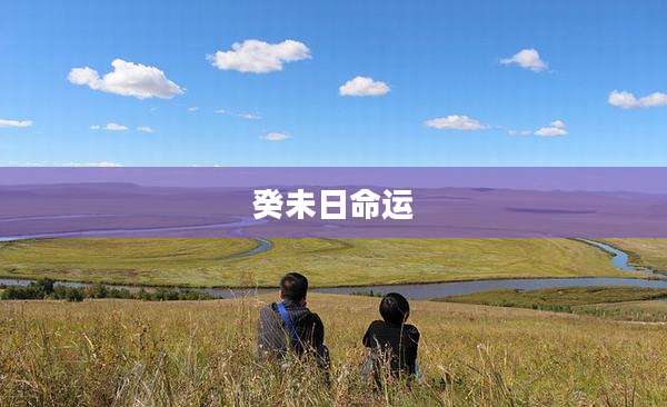 癸未日命运