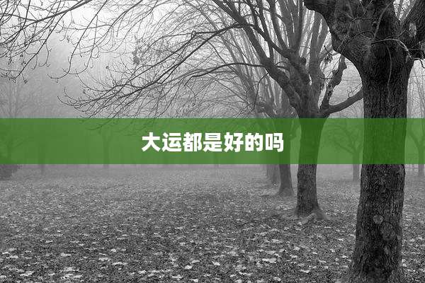 大运都是好的吗