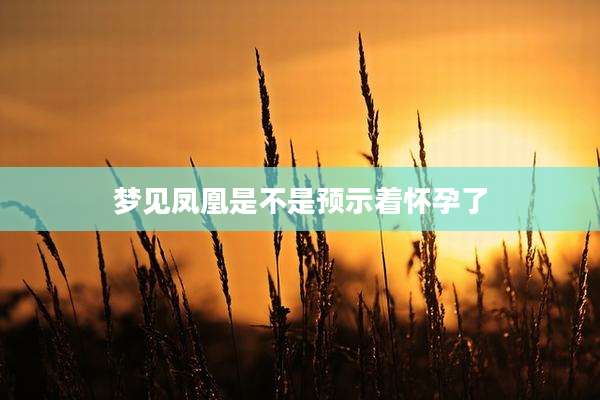 梦见凤凰是不是预示着怀孕了