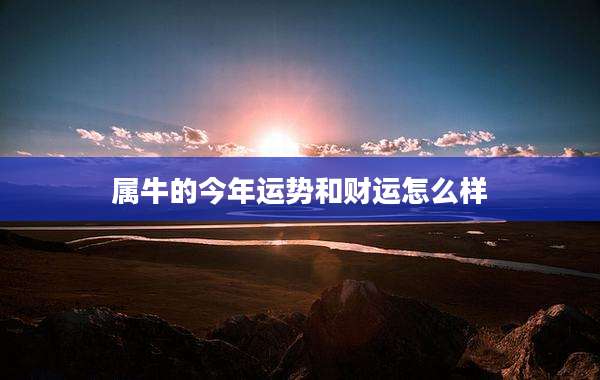 属牛的今年运势和财运怎么样