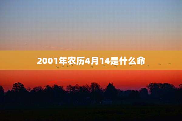 2001年农历4月14是什么命