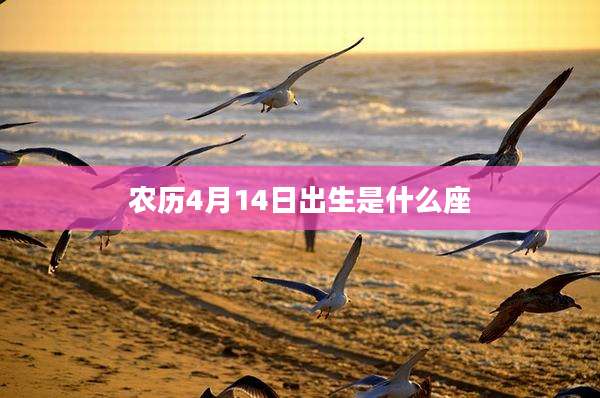 农历4月14日出生是什么座