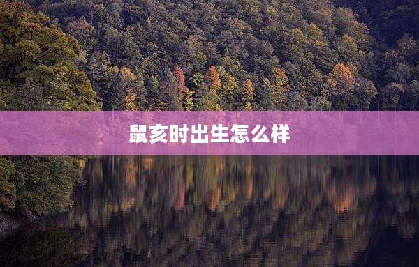 鼠亥时出生怎么样