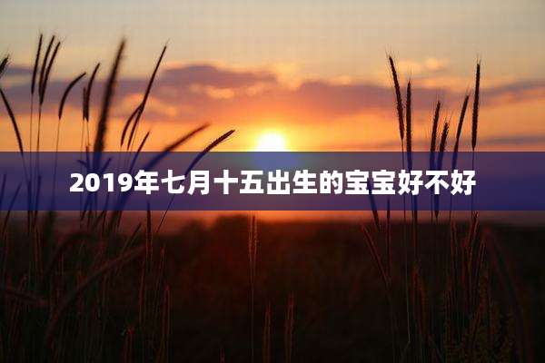 2019年七月十五出生的宝宝好不好