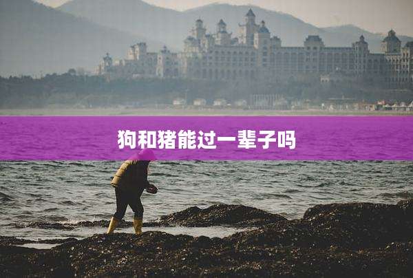 狗和猪能过一辈子吗