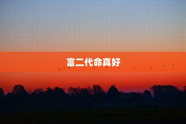 富二代命真好