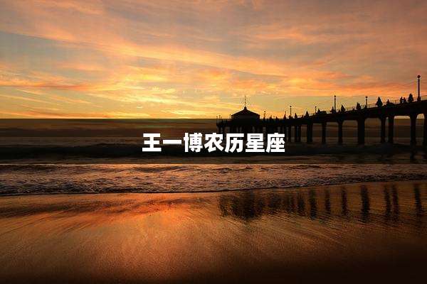 王一博农历星座