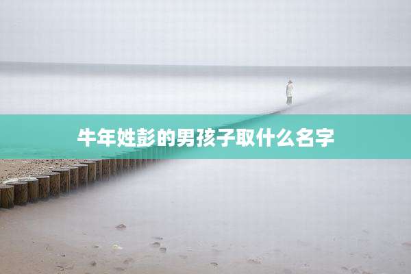 牛年姓彭的男孩子取什么名字
