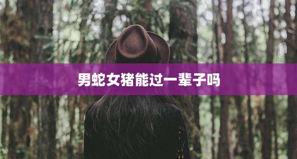 男蛇女猪能过一辈子吗