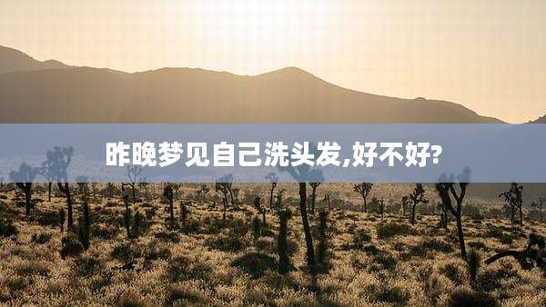 昨晚梦见自己洗头发,好不好?