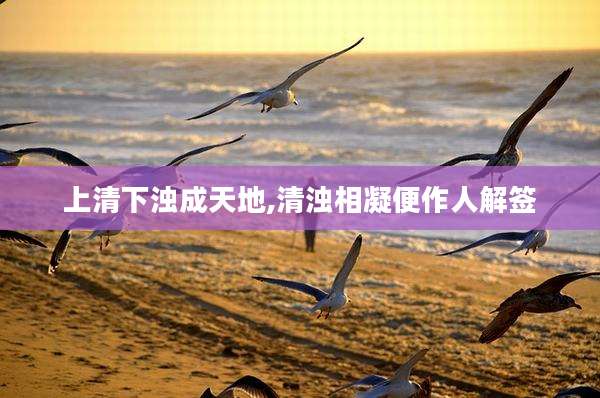 上清下浊成天地,清浊相凝便作人解签