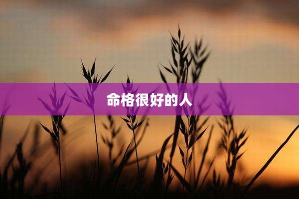 命格很好的人