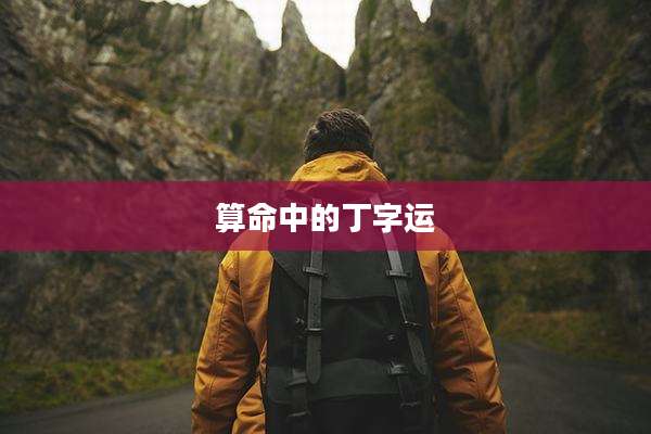 算命中的丁字运