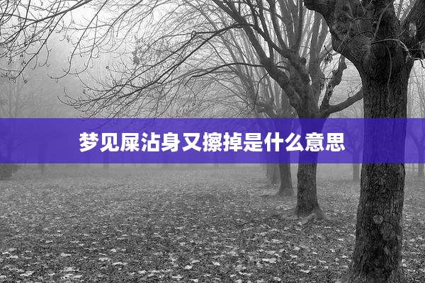 梦见屎沾身又擦掉是什么意思