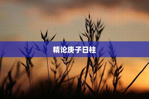 精论庚子日柱