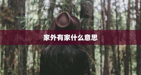 家外有家什么意思