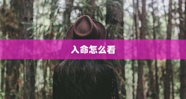 入命怎么看