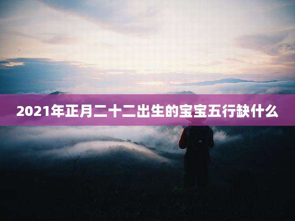 2021年正月二十二出生的宝宝五行缺什么