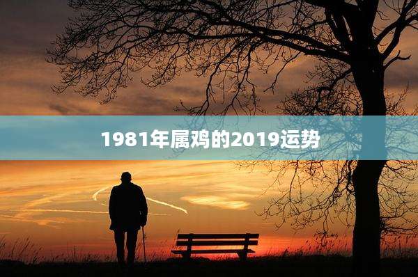 1981年属鸡的2019运势