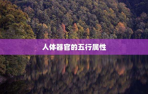 人体器官的五行属性