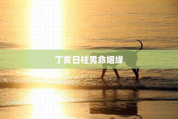 丁亥日柱男命姻缘